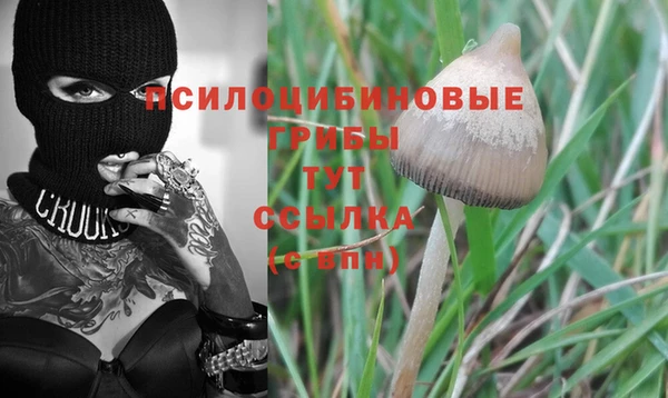 кристаллы Алзамай